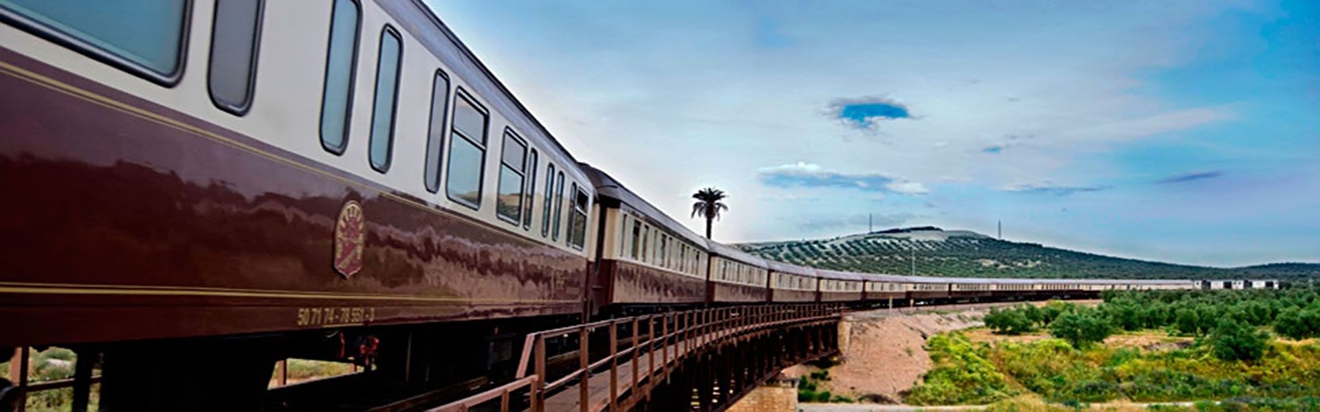 Tren Al Andalus